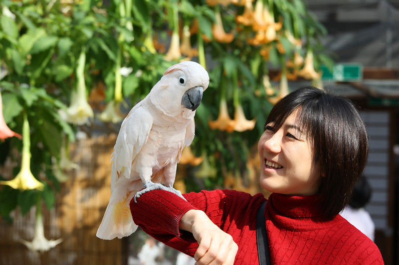 女性の肩に腕を回す カップル イラスト - No: 24254454無料イラスト・フリー素材なら「イラストAC」