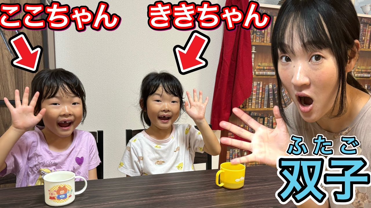 あみぐるみ♪仲良し男女双子*ハルくんとハナちゃん*春夏秋冬 あみぐるみ生活