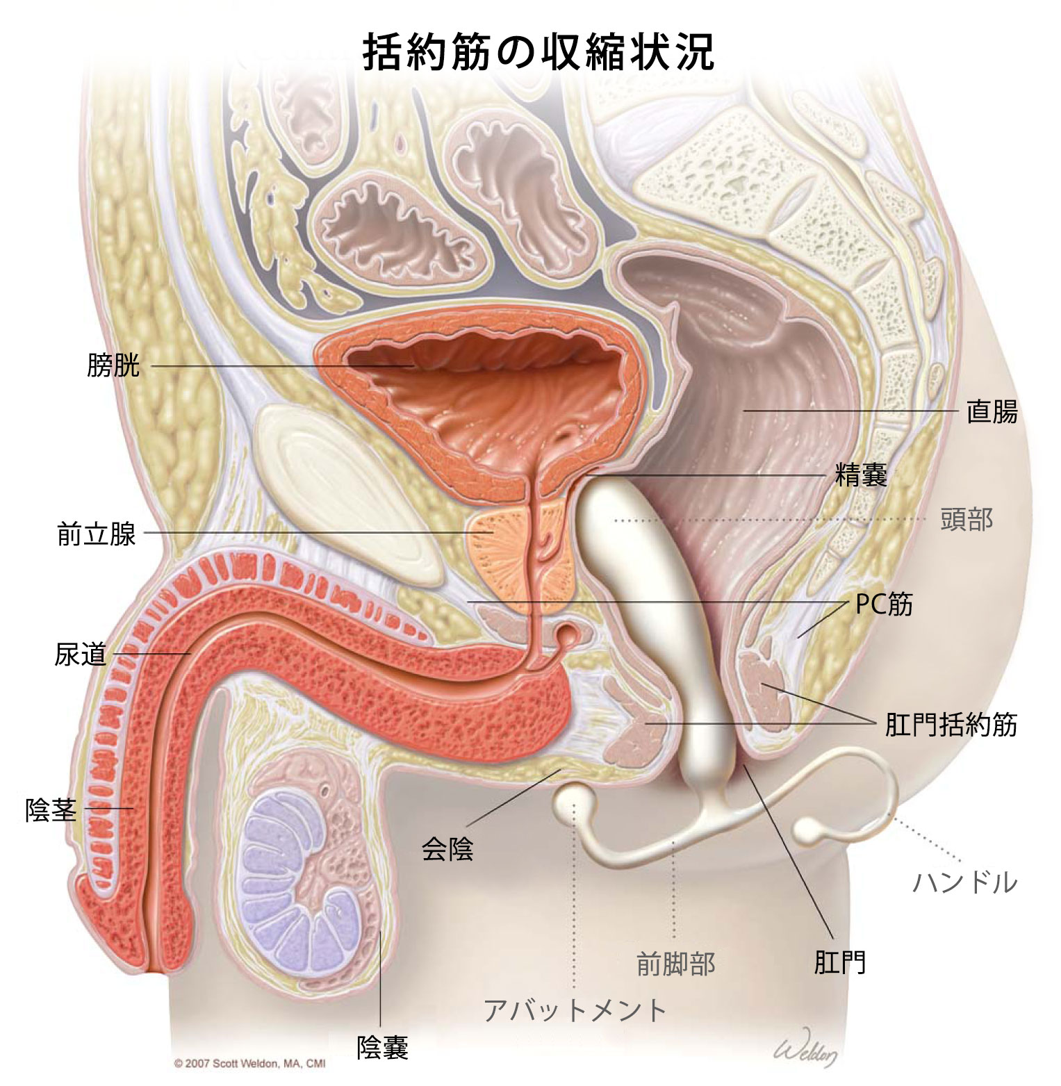 全商品 | アネロスジャパン