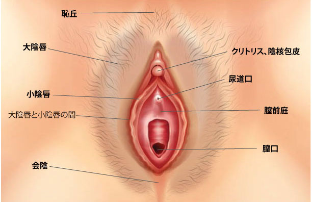 おなほちゃん〜執拗クリ舐め〜 [酩酊MK2] | DLsite