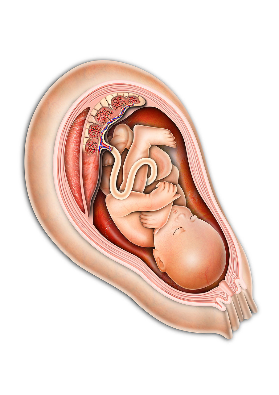 赤ちゃんイラスト制作のコツを紹介！イラスト制作会社アットのイラストレーターブログ