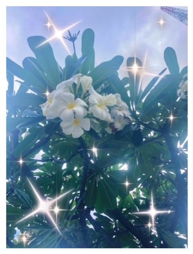 公開初日！！！戸松遥オフィシャルブログ｢ハルカレンダー｣Powered by Ameba