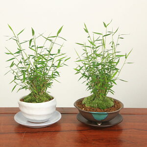 子供部屋の風水インテリア 方角と子供の性格などの関係 - 運びを良くする風水インテリア