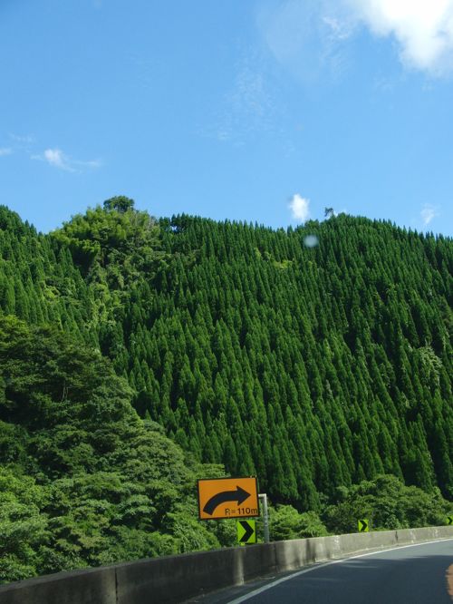 渋沢栄一がわかる