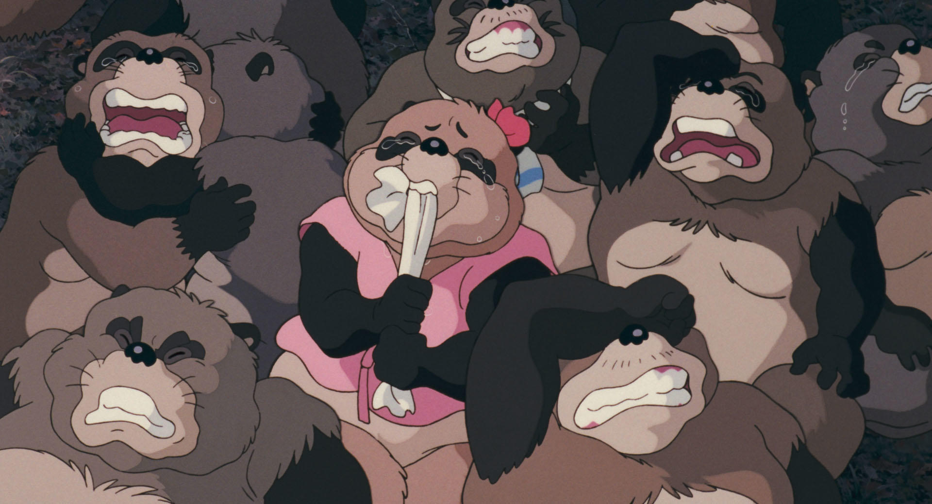 横浜市調査＞下田小や駒林小学区に多い「タヌキ」や「ハクビシン」の目撃情報横浜日吉新聞