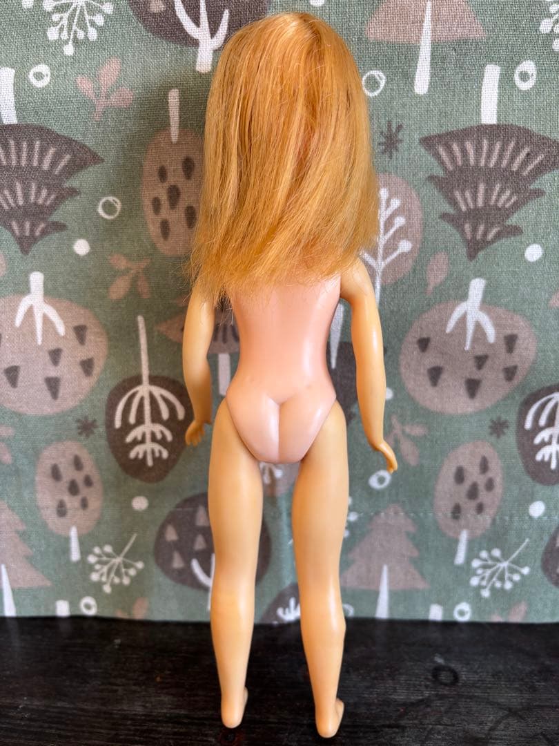 No.311 スカーレットちゃんの妹カンナちゃんMiss Bambi