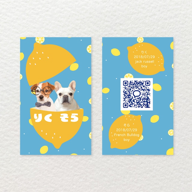 うちの子・ペット名刺 多頭向け 写真入り インスタグラム名刺 QRコード無料 送料込品質両面100枚 オフ会に 旗横おもちゃ・ペット小物ワントニア 通販 16949854Creema クリーマ