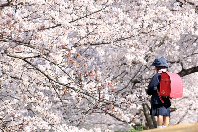 ランドセルで入学の記念撮影！おしゃれなポーズやシーン13選お祝い写真にぴったりな服装も紹介 -七五三,成人式,フォトウエディングの撮影なら阿部写真舘 茨城 プレイアトレ土浦店へお任せ