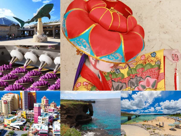 はじめてのどうぶつの森 あつ森プレイ日記82 18人目の移住者 - ユキシロ日記