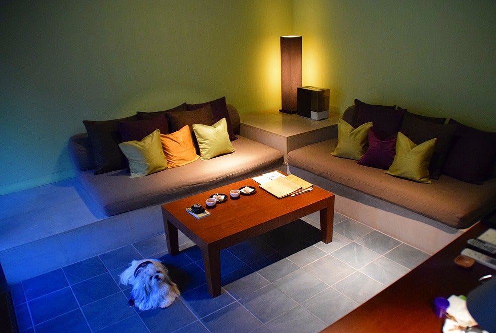 愛犬と旅行 愛犬と泊まれる星野リゾート〜星のや軽井沢