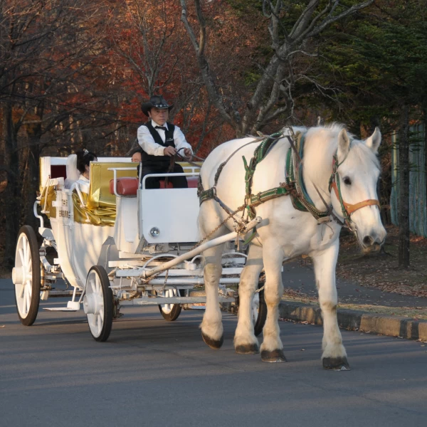 軽井沢ウエディング・結婚式なら公式 旧軽井沢 ホテル音羽ノ森