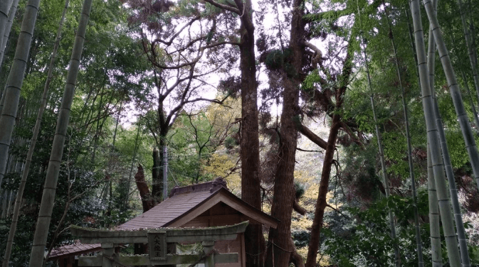 休日に行きたい⛩️縁結び神社 龍王神社メイ🍀占いﾉｰﾄが投稿したフォトブックLemon8