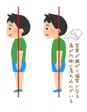 子供の姿勢改善！お子様の正しい姿勢は骨格から見直し、猫背、首、肩の不調も軽減骨格ドック・骨格整体 横浜市中区関内の整体 リ・サンテ