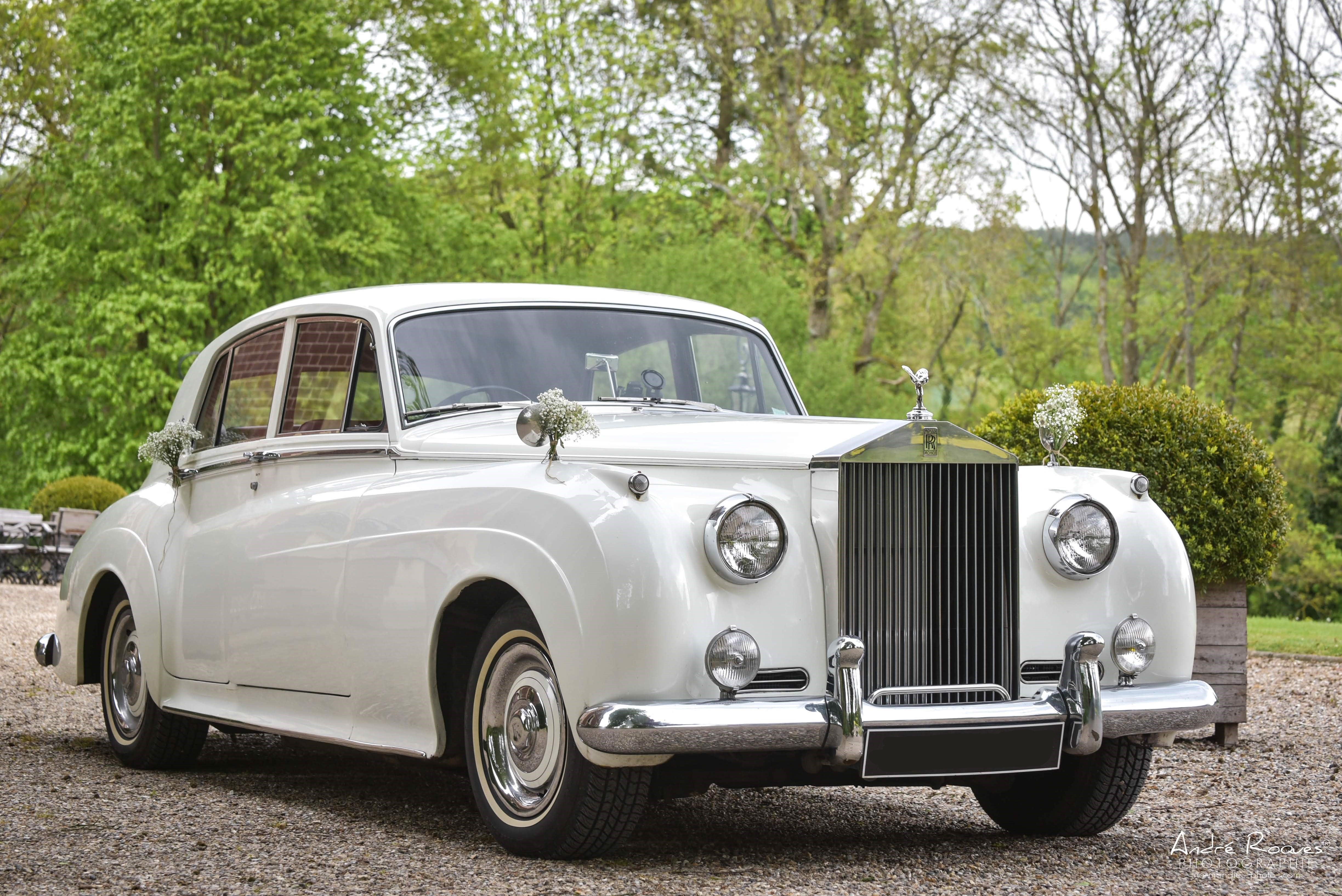 軽井沢フォトウェディング新婦様のお父さま所有の お馬さんと共に♡ photo @yuyamabe hair&makes @land_weddingflowers @studiorose01軽井沢フォト軽井沢フォトウェディング軽井沢前撮り軽井沢ブライダル軽井沢結婚式軽井沢ウェディング軽井沢婚