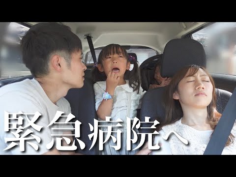 ひろぴーファミリー - SearchX