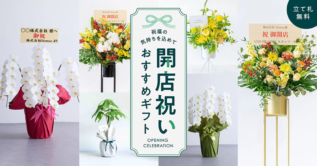 胡蝶蘭 開店祝いに贈る花に添えるメッセージカードについて洋蘭の美翔