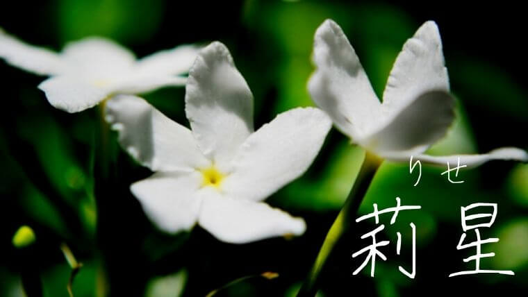 再掲 草木・花モチーフの女の子の名前 花, 樹, 芽, など草木・花をモチーフとした名前です。花の美しさ, 草木の逞しさを名前 に込めましょう。季節を問わず付けられる名前を中心に集めました。 ・ ▽「花」を使った名前をもっと見るhttps:pon-navi.net nazuke name