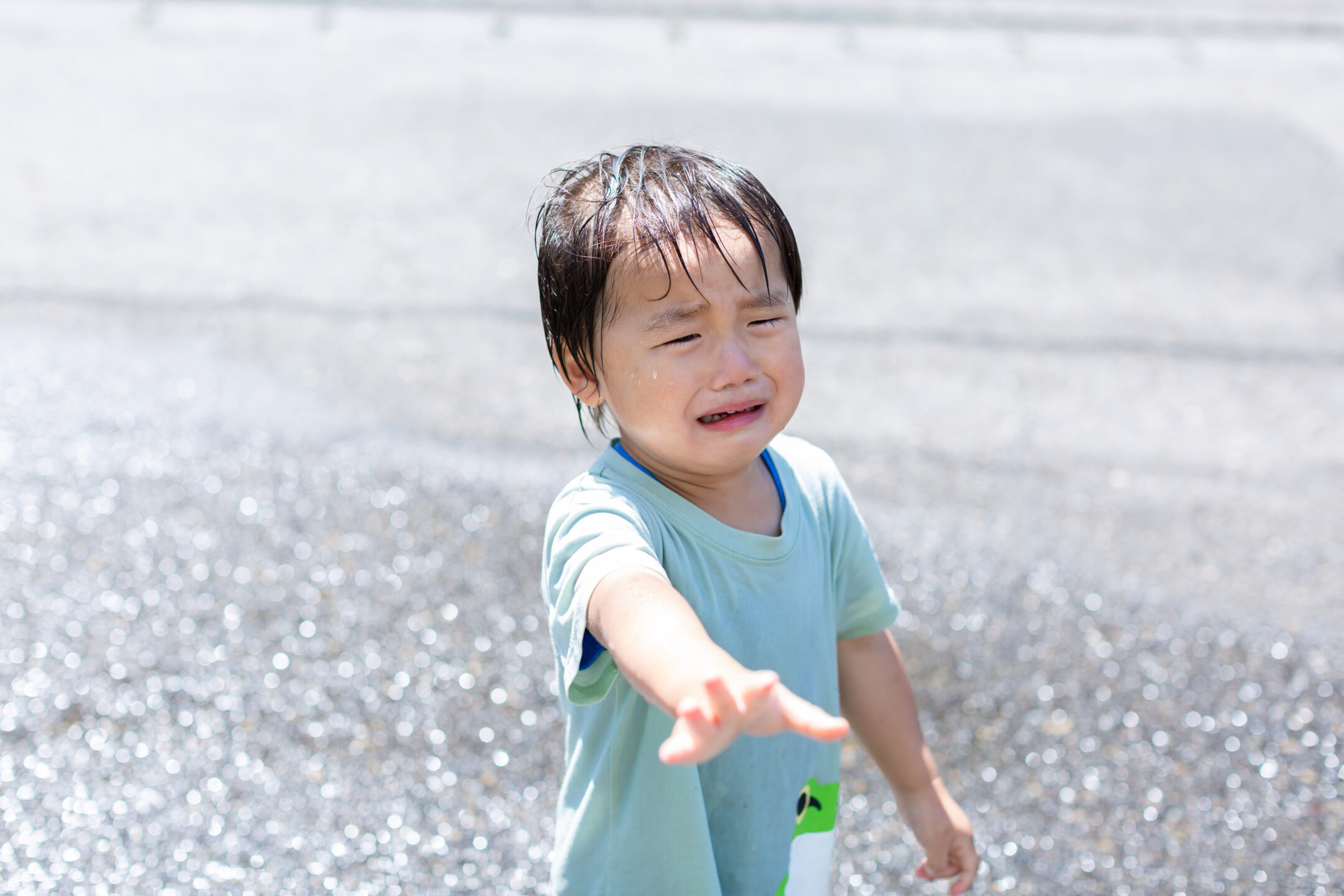 1歳～2歳児 物を投げる・たたく子どもの心理とやめさせる方法 - SHINGA FARM
