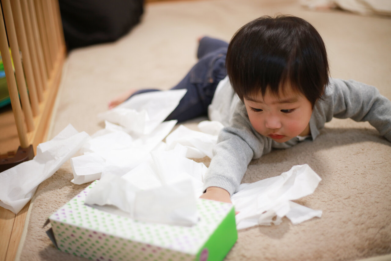 子どものいたずらにも大切な意味が。遊びやいたずらの見方を変えるたった1つの視点とは１万年堂ライフ