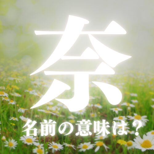 2023年、本当にありがとうございました✨ 私にとって今年は、やっぱり家出レスラーでいっぱいの年でした。 プロレスをやらせていただいた事。大好きな岩谷麻優選手の半生を演じさせていただいた事。 家出レスラーで出会えたみなさんが大好きです。 この後の年越しは