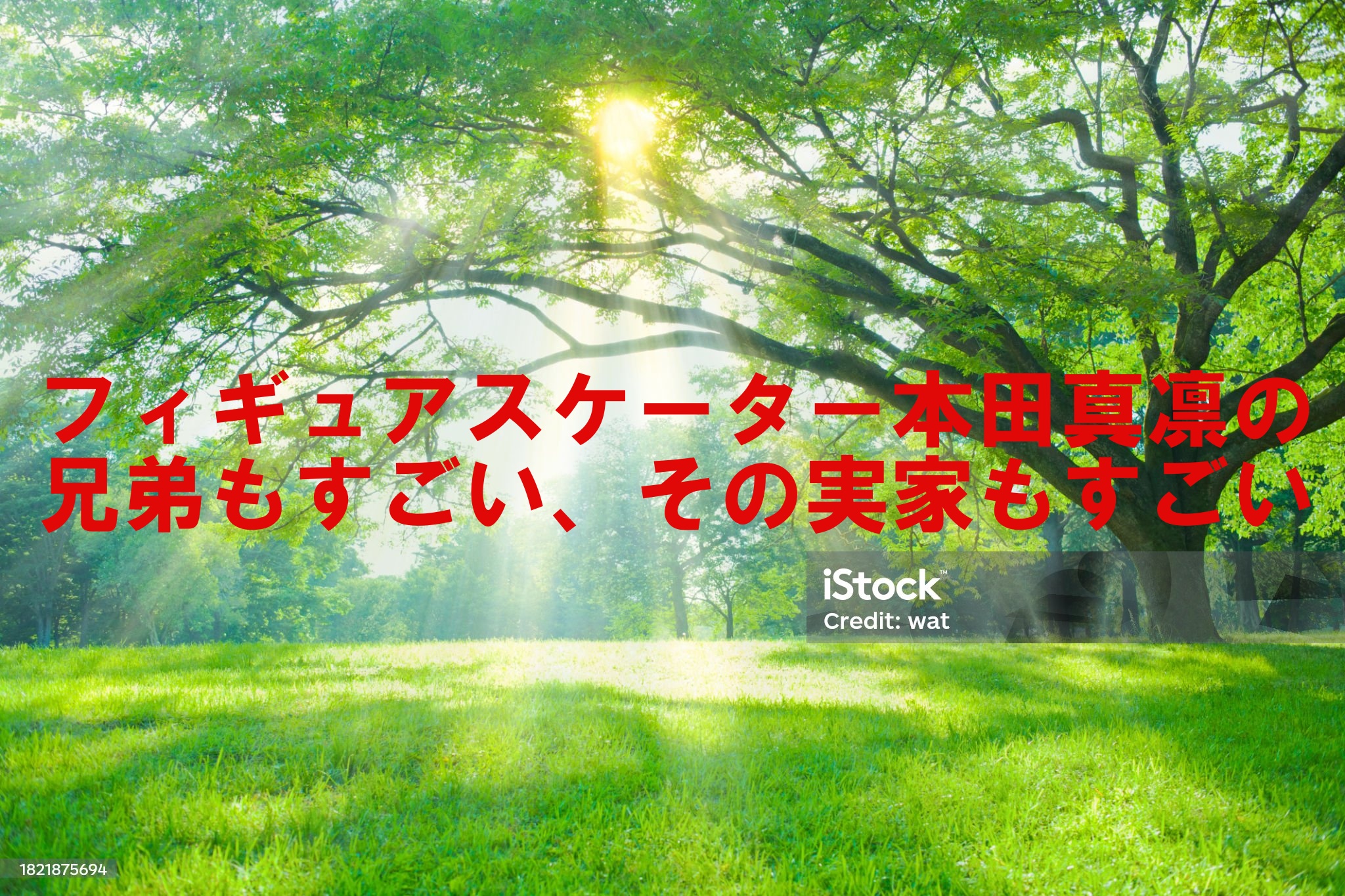 本田真凛実家の住所は？写真や味噌屋についても徹底調査