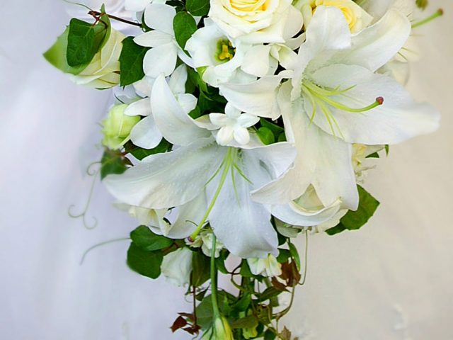 結婚式におすすめの花43選＆素敵な花言葉 コーディネート例付き