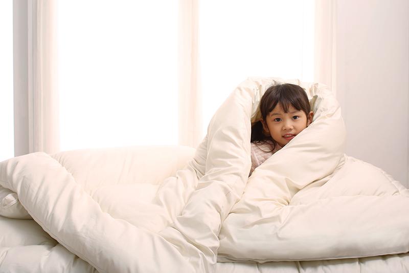 ファミリー布団家族一緒に眠れるファミリーサイズの敷布団・敷きパッド 通販 ニッセン公式