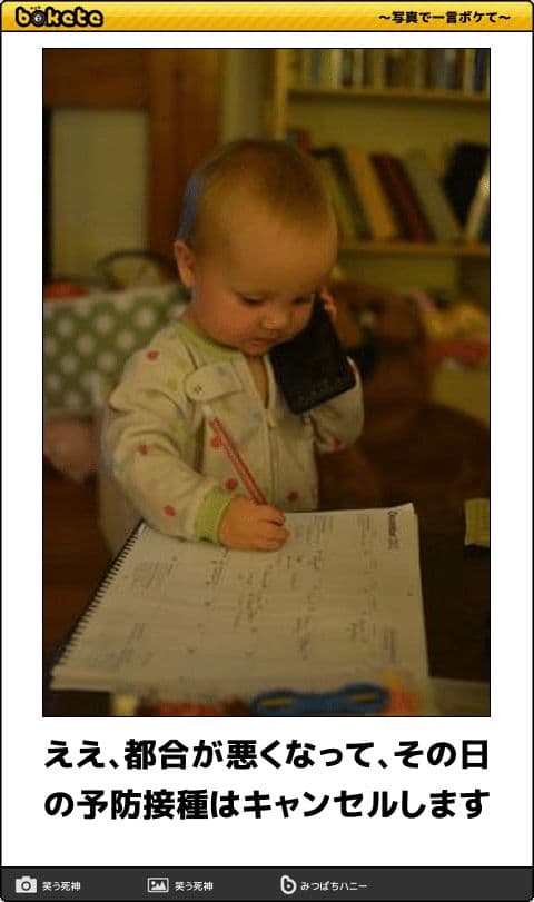 bokete Cute!可愛くて面白い写真集 コアマガジン ボケ 動物 赤ちゃん - メルカリ