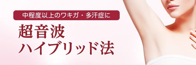 スズキ・スイフト ハイブリッドMX（FF/5MT）【試乗記】 クルマって面白い！