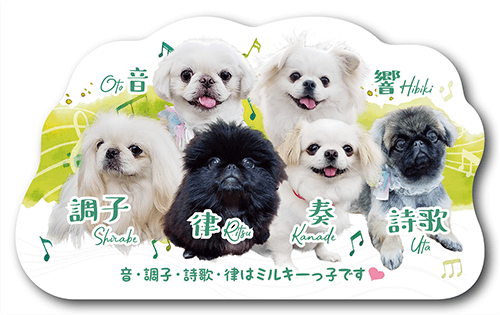 New!」3頭用♡シンプルなうちの子・ペット名刺 2頭のみのデザインでしたが、 3頭用もご用意できました♪ 背景カラーは何色でも制作可能です☺️表と裏でカラーを変えても可愛いですし、 ツートーン 2色 でも可愛いですよ🌟 セミオーダーですので、 フォントの変更や