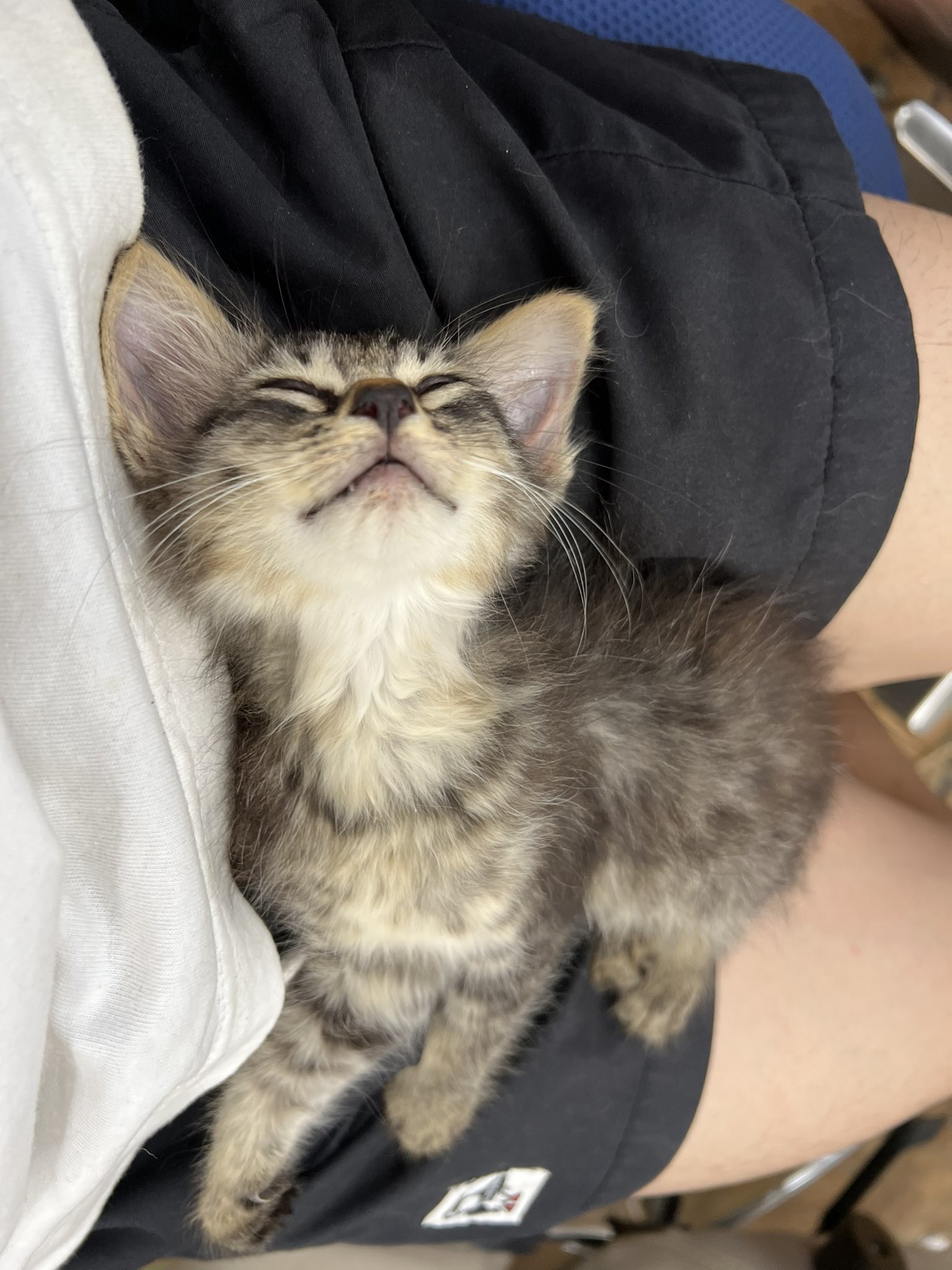 すしらーめんりくの父の正体は社長？年齢や学歴と家族情報まとめ芸能人のヤバイ噂