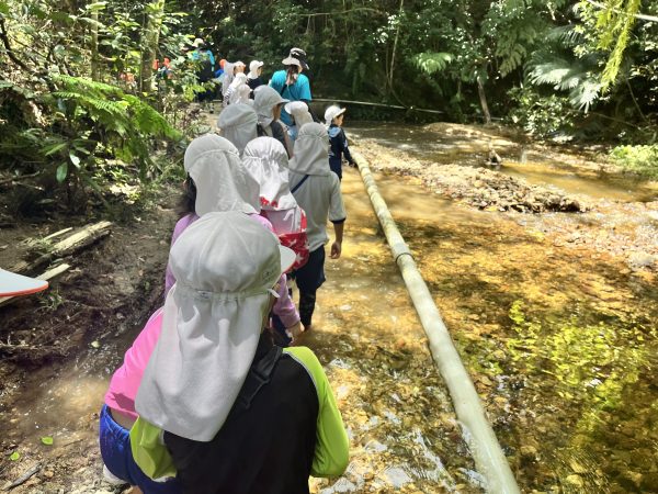 川遊びを楽しむ幼児の写真素材97418229- PIXTA