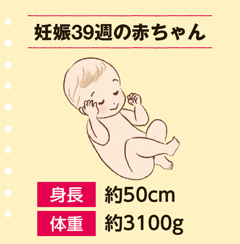 医師監修 妊娠39週 妊娠10ヶ月：妊娠後期 ゼクシィBaby
