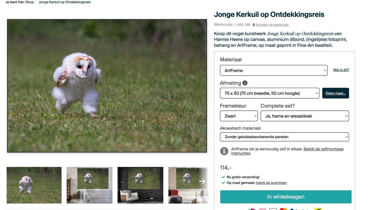 フクロウ飼育・初心者用 種類・餌・温度・日光浴・水浴び飼い方の基本 - フクロウカフェ 東京 アキバフクロウ