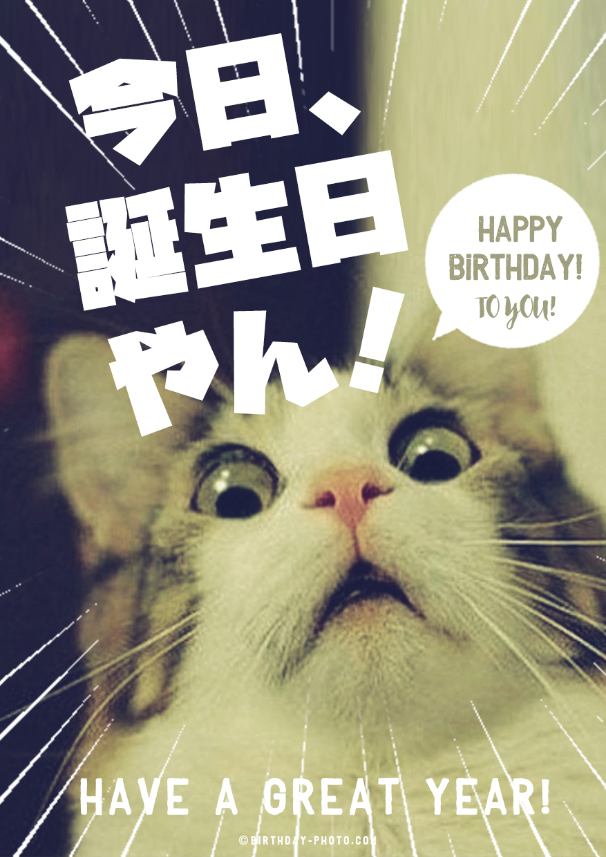 幸せな誕生日カード 20 歳の誕生日と 20 年記念日の祭典のため。のイラスト素材・ベクター Image 34426271