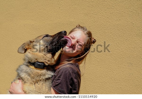 犬がなめる理由とは？飼い主や自分、モノをなめる場合の気持ちを紹介 | ペトコト（PETOKOTO）