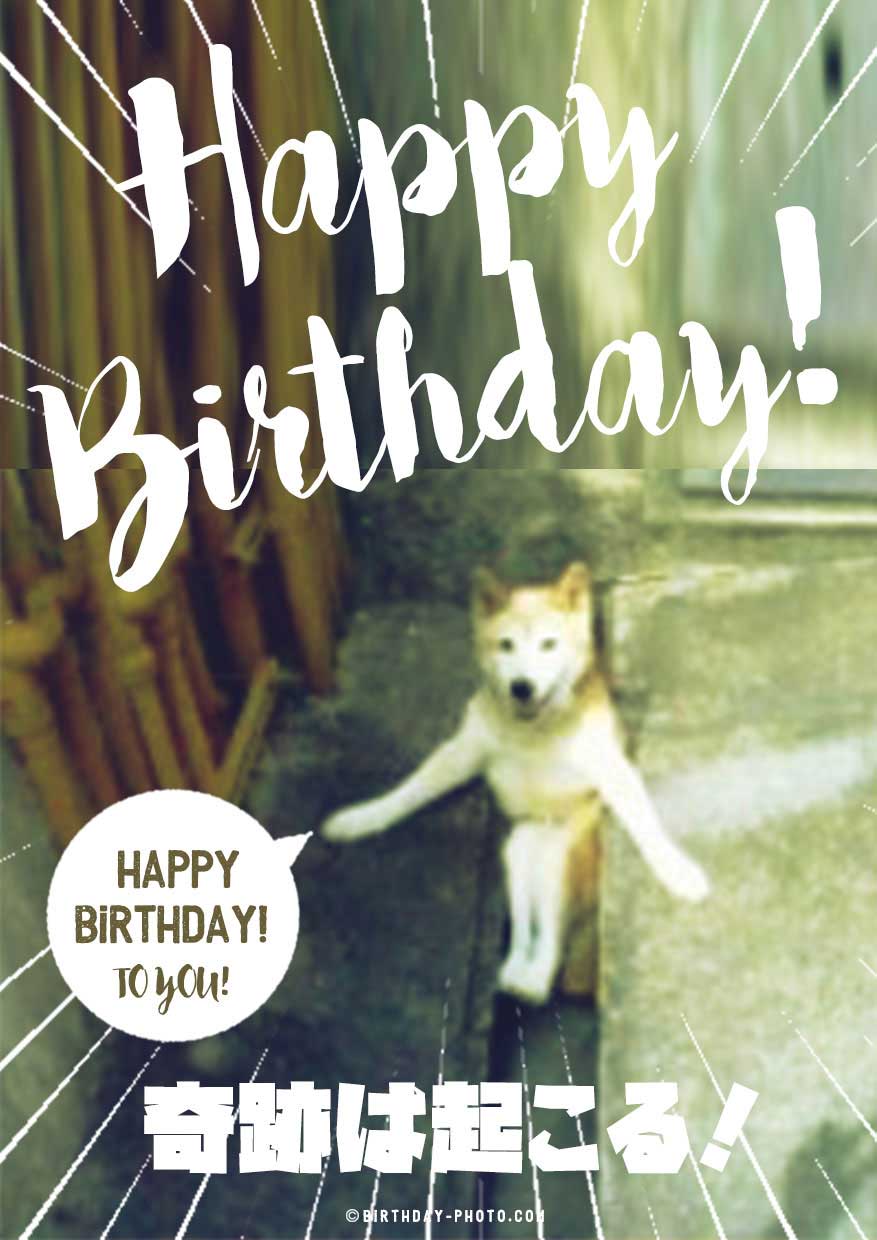 相手別 誕生日のお祝いに心温まる言葉を贈ろう！メッセージ文例集