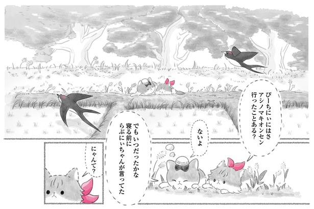 香椎かてぃ ZOC の兄は横須賀の暴走族？絵や本名、出身高校も