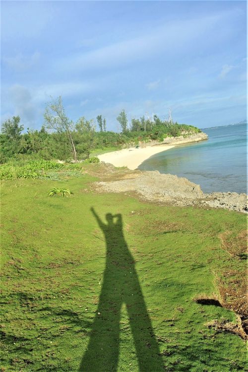 西香はち「波うららかに、めおと日和」ドラマ化、芳根京子＆本田響矢がピュアな夫婦に 動画ありコメントあり- コミックナタリ