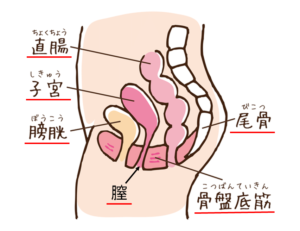 恥ずかしくない！VIO脱毛(Iライン脱毛)で濡れてしまう話 - トイトイトイクリニック