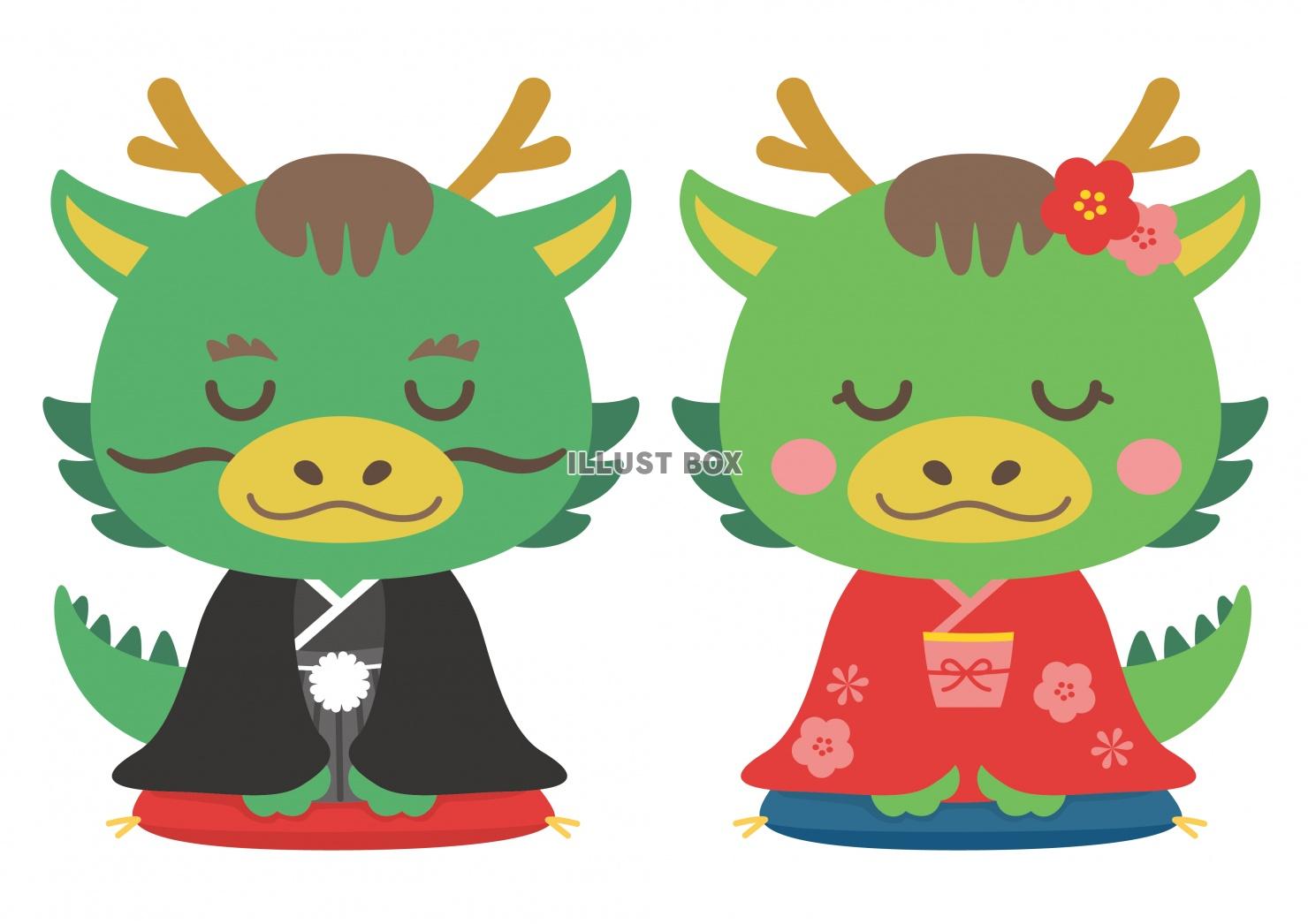 2024年辰年 年賀状 ドラゴンと美少女 AI生成画像 のイラスト素材107496724- PIXTA