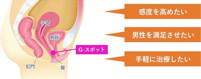 ファーストバイブ 膣トレ Gスポット開発丨大人のおもちゃとアダルトグッズ専門店ワイルドワン