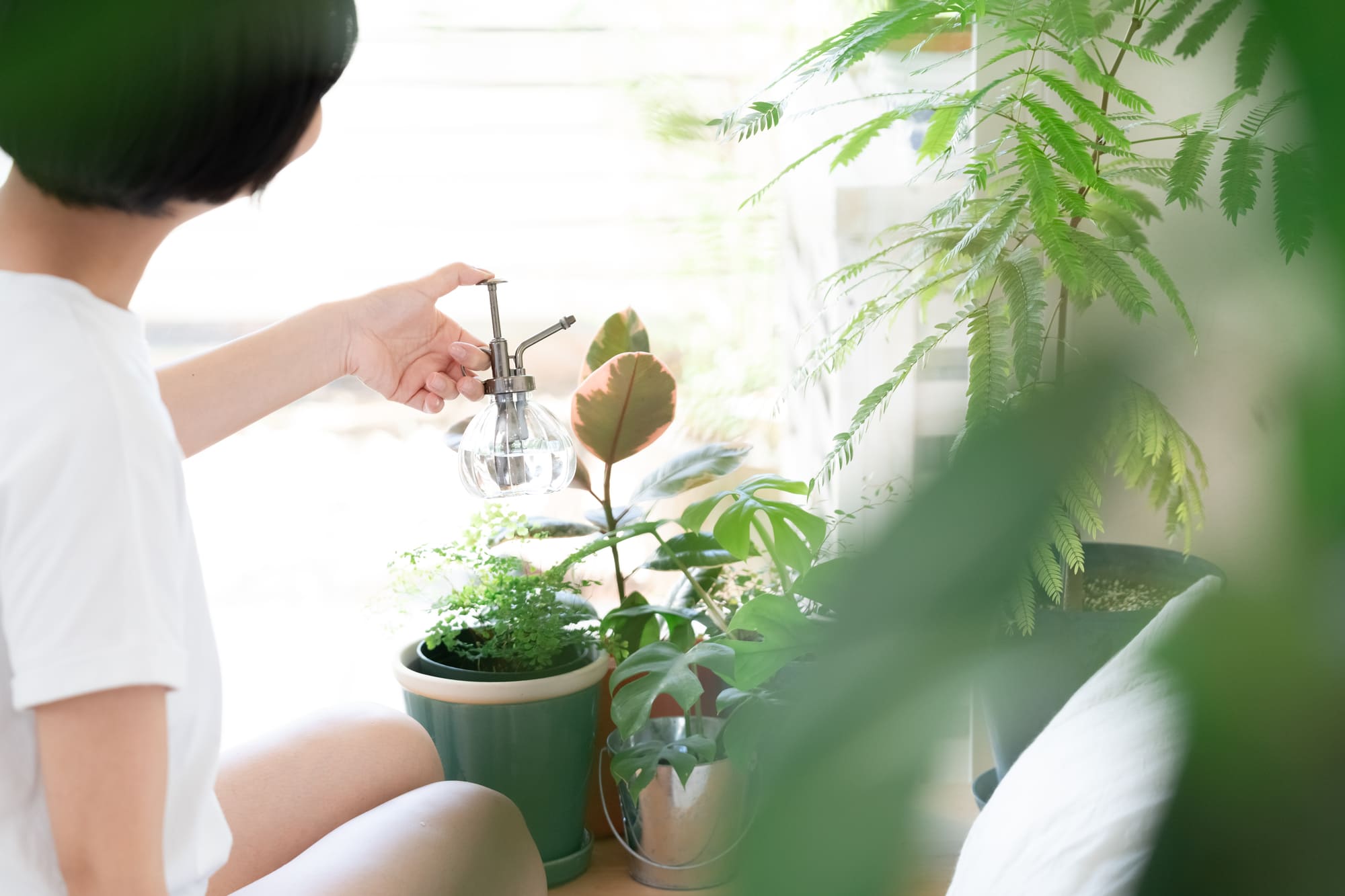 5月に植える花15選プランターで春の花を身近に楽しもうコーナンTips