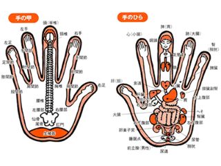 ハンドマッサージ資格講座（ﾊﾝﾄﾞﾘﾌﾚｸｿﾛｼﾞｰ）｜日本ハンドセラピスト認定協会