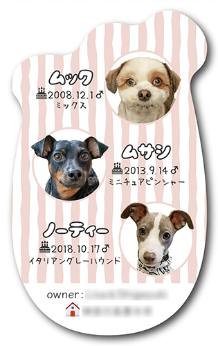 ペット名刺 校正無料 写真切抜無料 レビュー最多 豊富な実績 大好きなペットの写真を入れることができます 多頭対応OKうちの子名刺 送料無料 :紙ってるYahoo!店 - 通販 - Yahoo!ショッピング