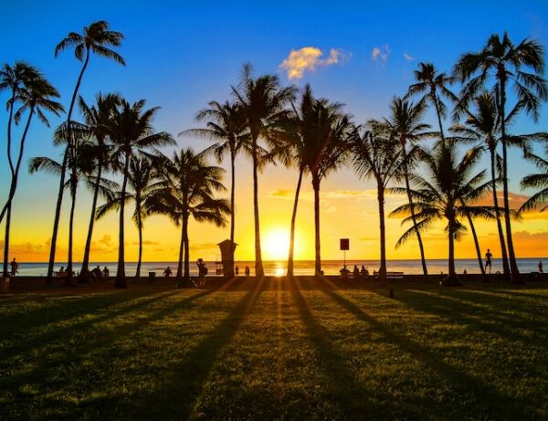 アロハスピリットから学ぶ。心に響くハワイ語45選ALOCO アロコ