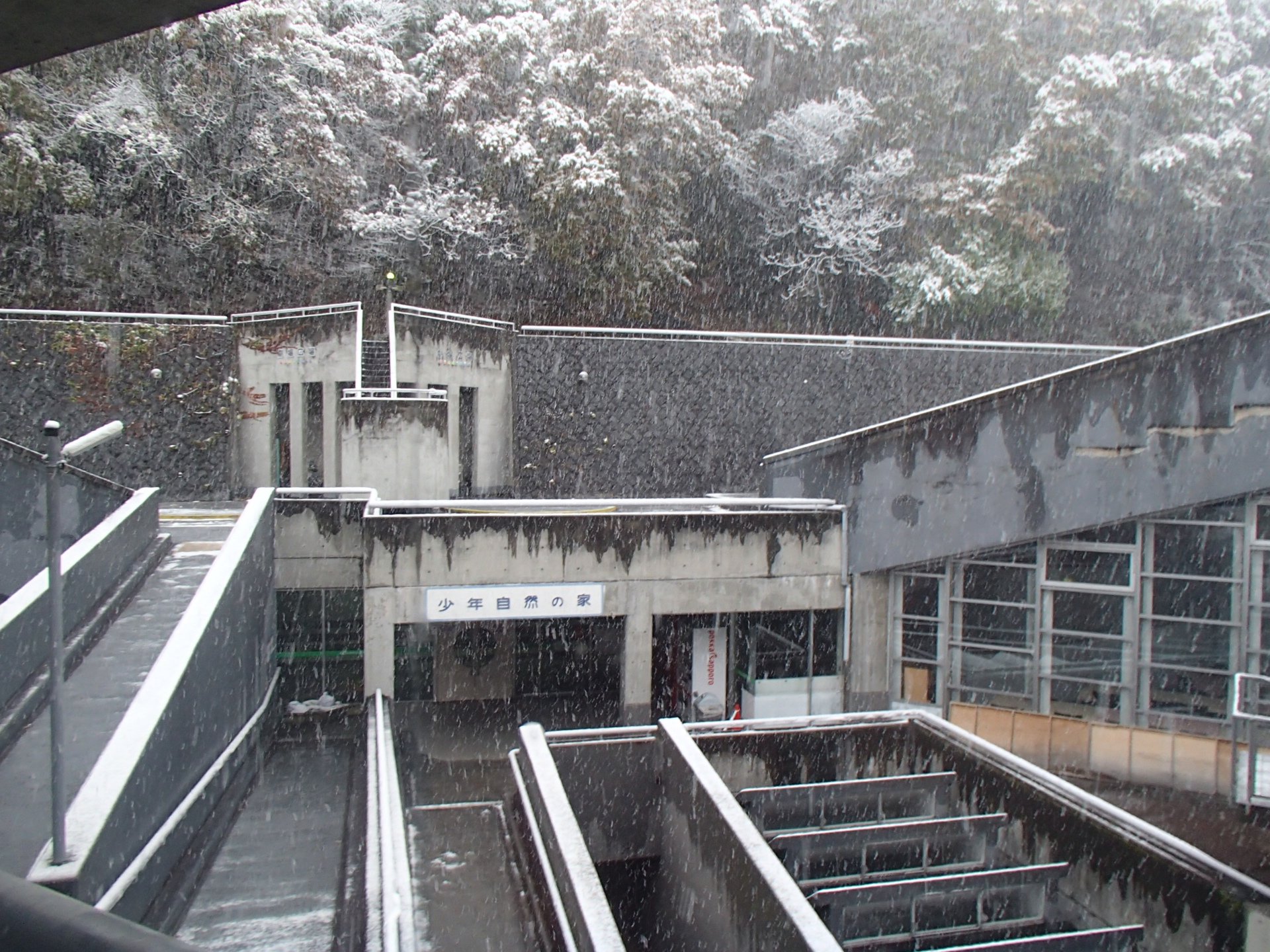 子どもたちに愛され続ける「山梨県立愛宕山こどもの国」 