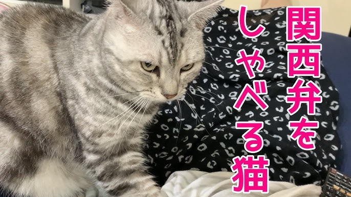 matsuko りんか＆あんなのママ さんのプロフィールページ