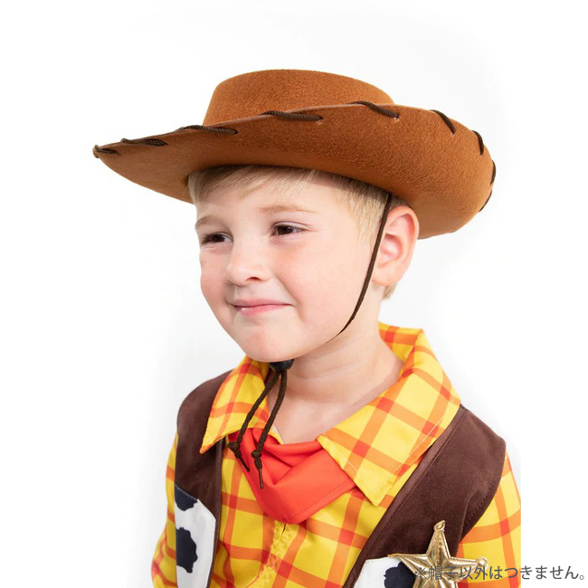 楽天市場中古 30日の婚活トラベル 20世紀フォックスホームエンターテイメント ポーラ・パットンDVD: リサイクルストアあかつき