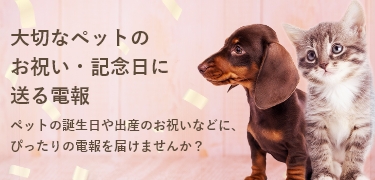 JK必見👀🌟誕生日ストーリー加工特集⋆˙⟡ コラージュや分割を使って 流行りのストーリー加工をしてみたよ！可愛すぎるし喜ばれること間違いなしっ🍀 そして 今日はさらぽんの誕生日🎂18歳おめでとう🎵 model : @sara_nagase_-———ｷﾘﾄﾘｾﾝ-——— - TGC teen - では